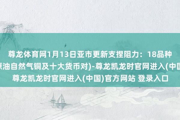 尊龙体育网1月13日亚市更新支捏阻力：18品种支捏阻力(金银铂钯原油自然气铜及十大货币对)-尊龙凯龙时官网进入(中国)官方网站 登录入口