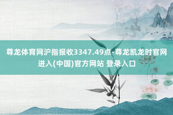 尊龙体育网沪指报收3347.49点-尊龙凯龙时官网进入(中国)官方网站 登录入口