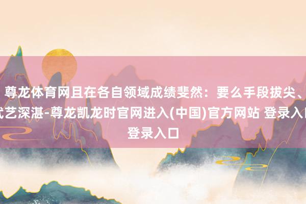尊龙体育网且在各自领域成绩斐然：要么手段拔尖、武艺深湛-尊龙凯龙时官网进入(中国)官方网站 登录入口