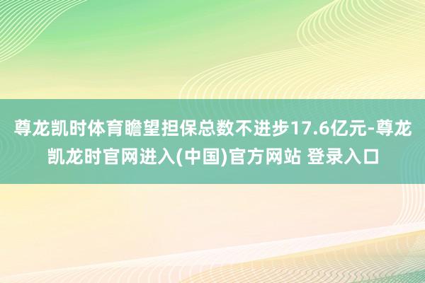 尊龙凯时体育瞻望担保总数不进步17.6亿元-尊龙凯龙时官网进入(中国)官方网站 登录入口