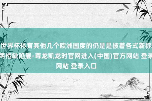 世界杯体育其他几个欧洲国度的仍是是披着各式新称号的两栖缺陷舰-尊龙凯龙时官网进入(中国)官方网站 登录入口